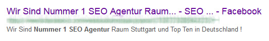 SEO Nummer 1
